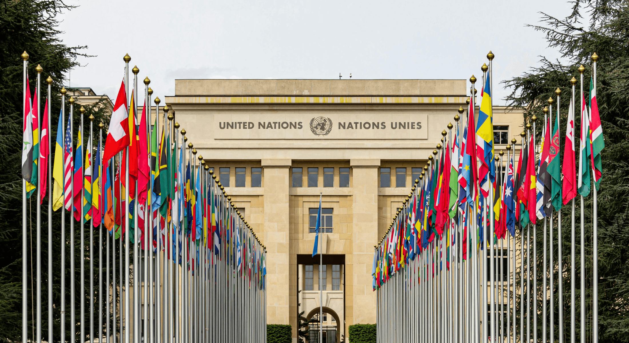 The Future of Global Finance